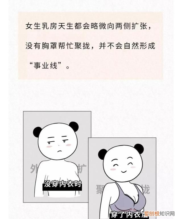女生胸部冷知识,8条胸部冷知识你都知道吗