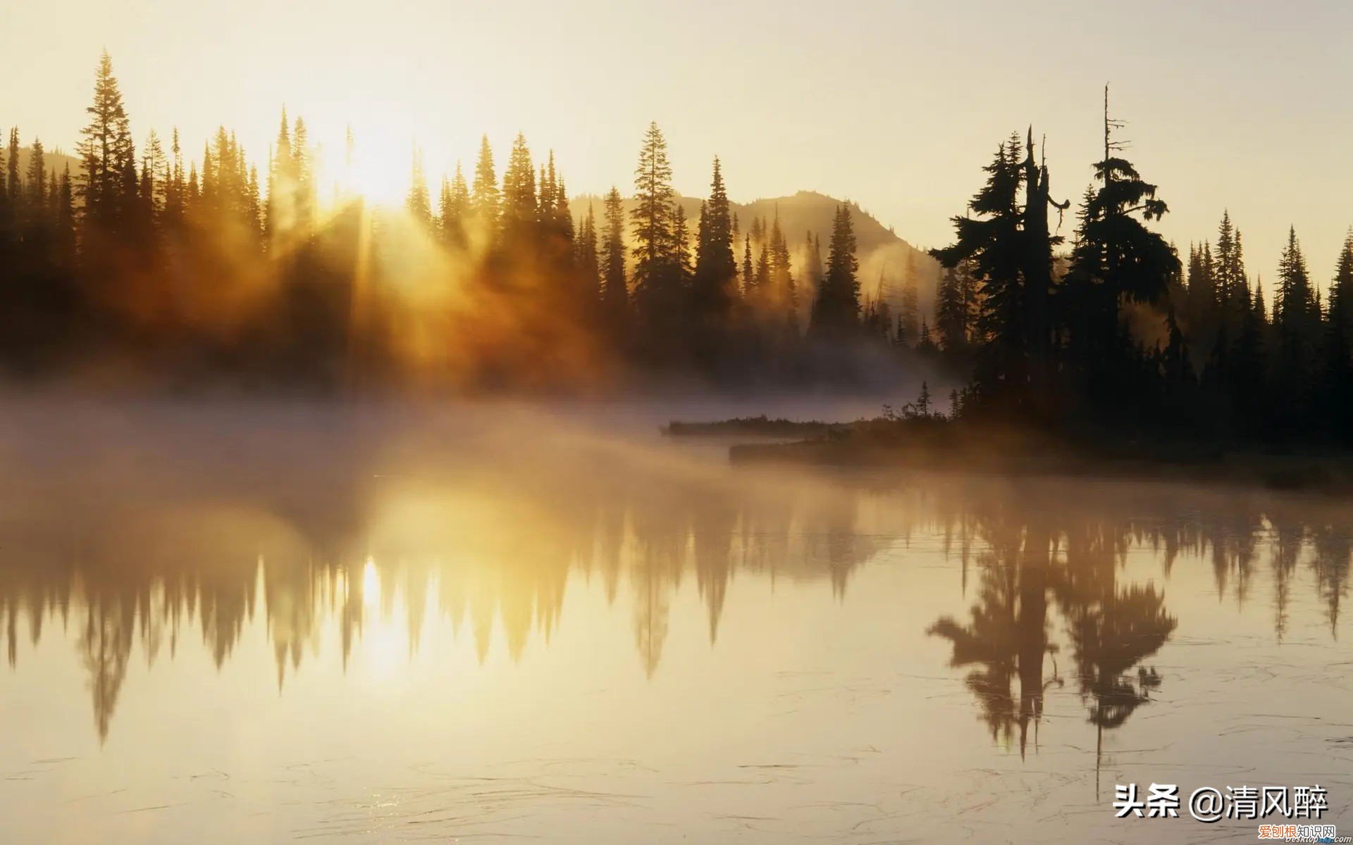 轻松舒心的微信心情说说 开心的句子说说心情