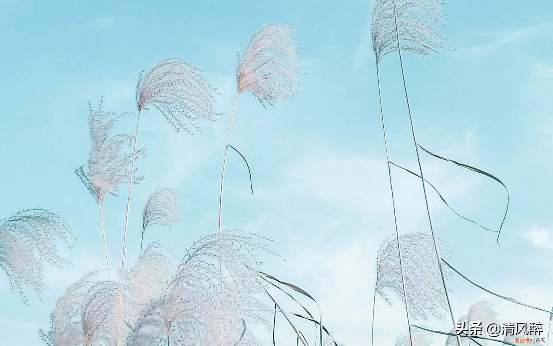 轻松舒心的微信心情说说 开心的句子说说心情