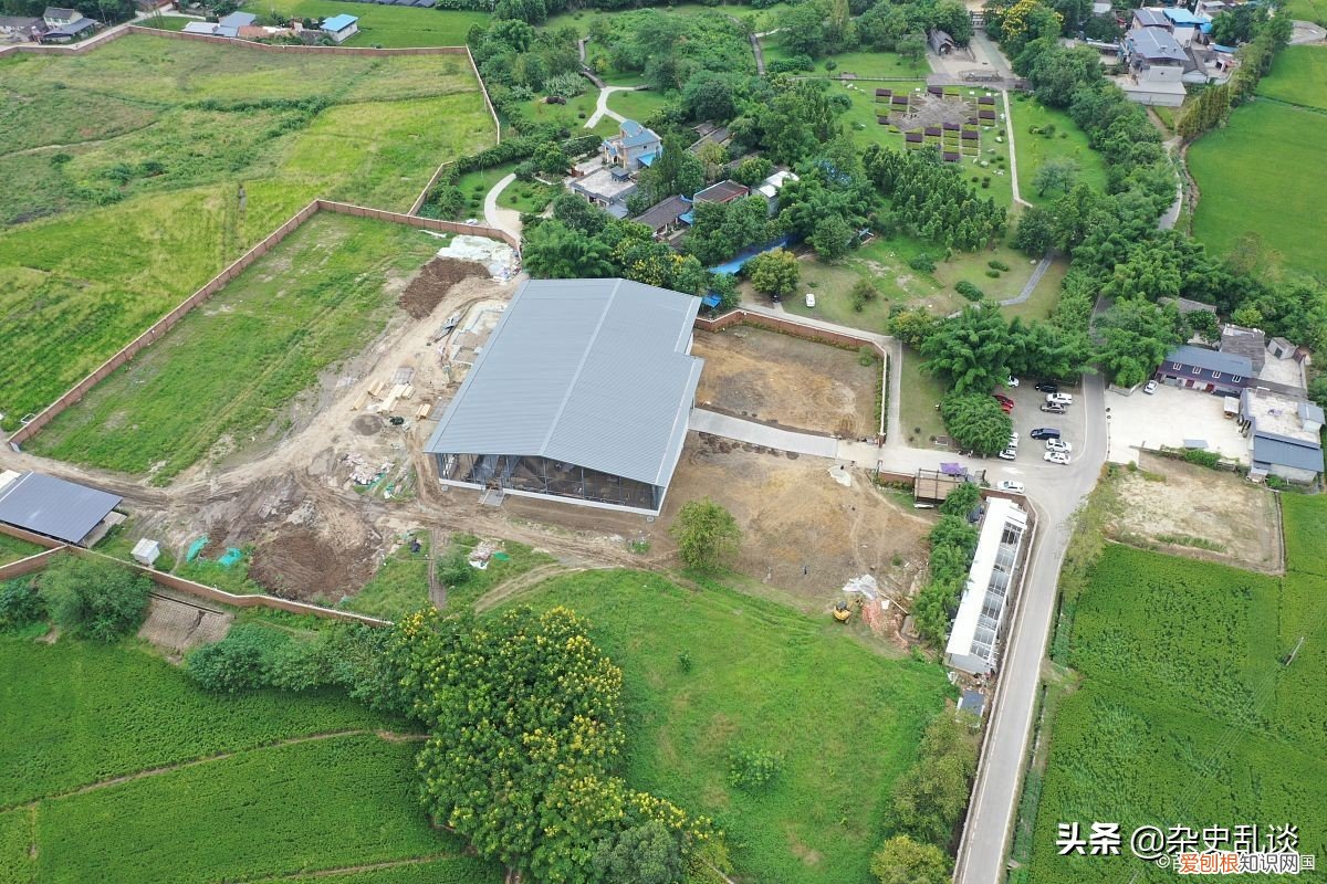 解谜三星堆遗址背后隐藏的恐怖 三星堆挖掘诡异事件挖出手机