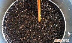 怎样炒芝麻更香窍门