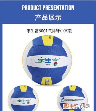 标准气排球7号还是5号，2021东京奥运会中国排球7号是谁