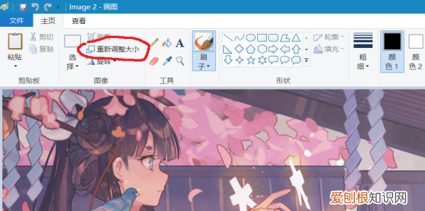 照片格式大小怎样改，修改照片的软件有哪些