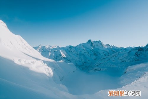 磋商是什么意思，竞争性磋商与公开招标