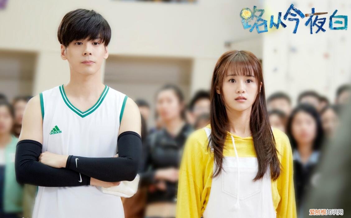 魏哲鸣的妻子王岚有多大?魏哲鸣妻子王岚的个人资料