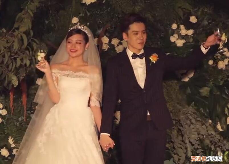 魏哲鸣的妻子王岚有多大?魏哲鸣妻子王岚的个人资料