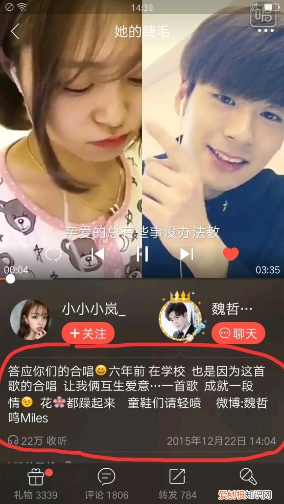 魏哲鸣的妻子王岚有多大?魏哲鸣妻子王岚的个人资料