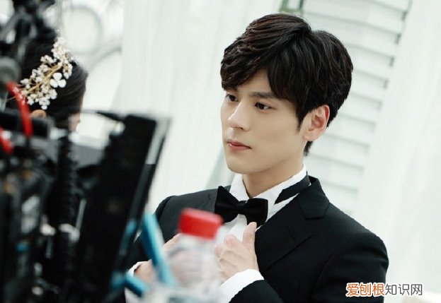 魏哲鸣的妻子王岚有多大?魏哲鸣妻子王岚的个人资料