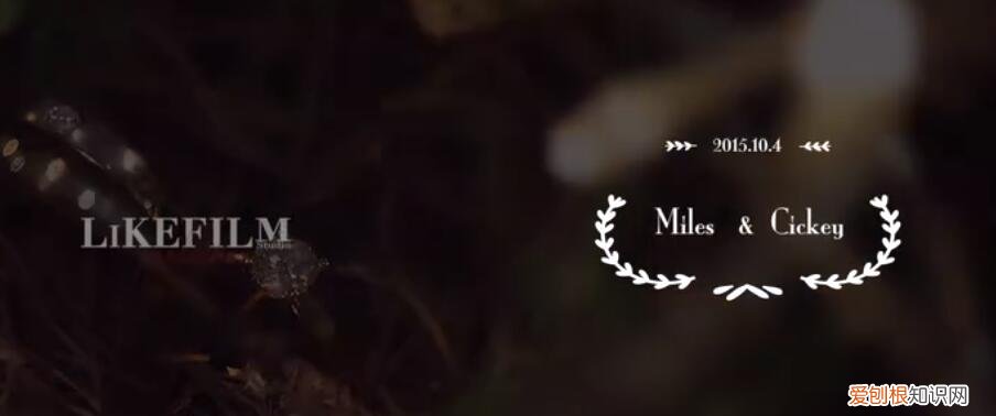 魏哲鸣的妻子王岚有多大?魏哲鸣妻子王岚的个人资料