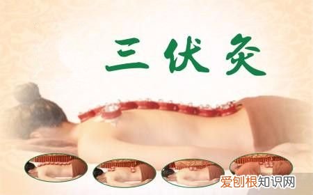 三伏灸的好处和效果 三伏灸的好处和效果