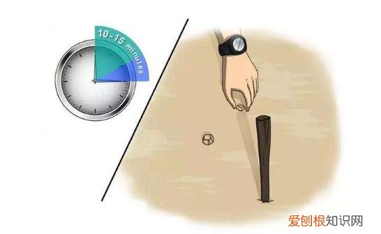 天然的指南针有哪些?一文全部弄清楚