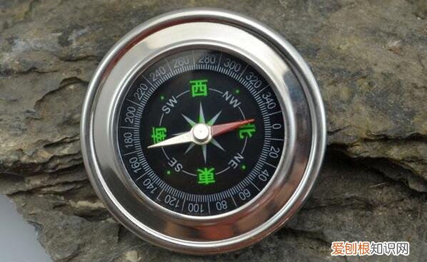 天然的指南针有哪些?一文全部弄清楚