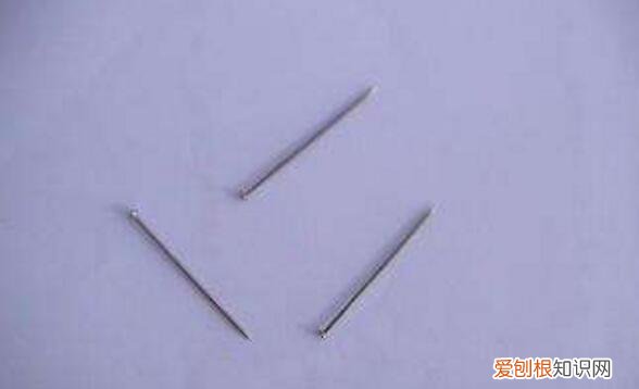 天然的指南针有哪些?一文全部弄清楚