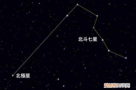 天然的指南针有哪些?一文全部弄清楚