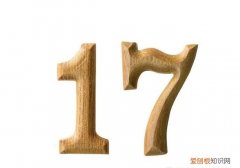 17数字代表什么意思