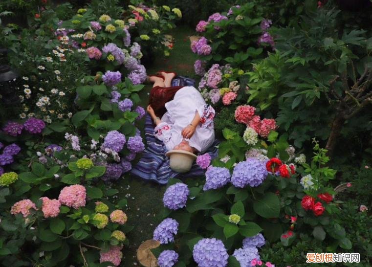 李子柒家到底住在哪里？李子柒“豪宅”全景曝光