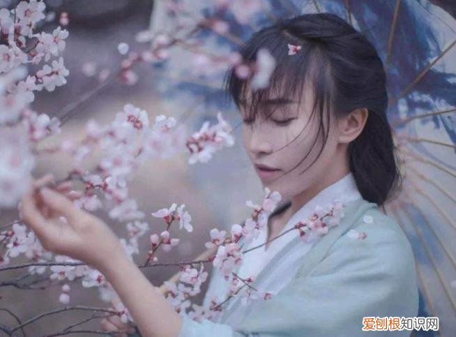 李子柒家到底住在哪里？李子柒“豪宅”全景曝光