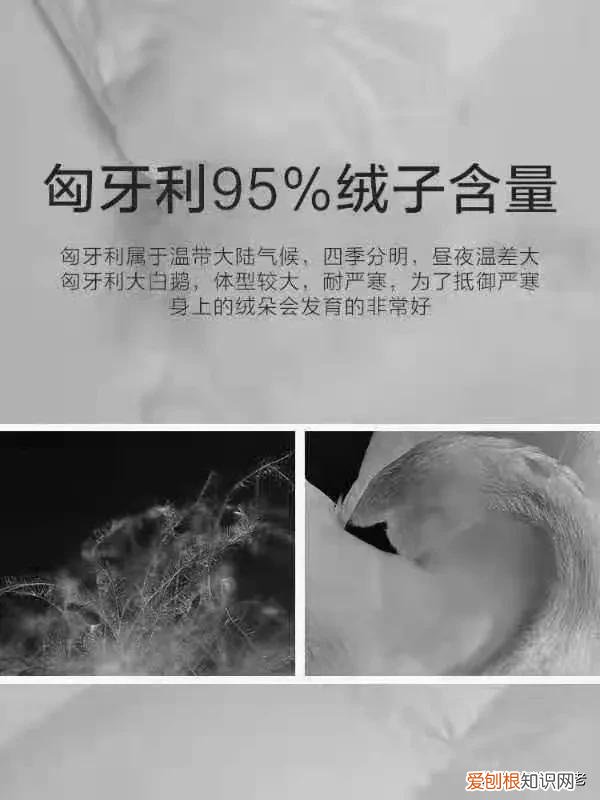 蚕丝被的缺点是什么？ 蚕丝被怎么洗涤和保养方法