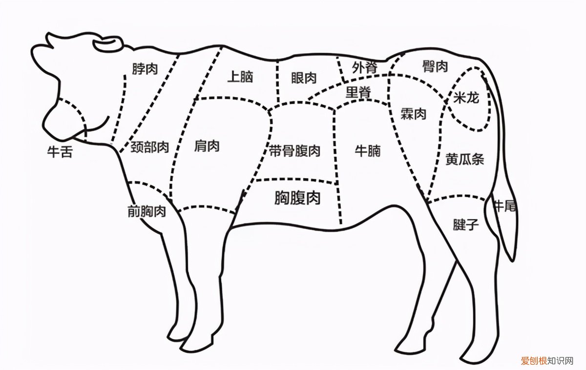 肥牛是什么肉做的？它到底是牛的哪块肉呢？