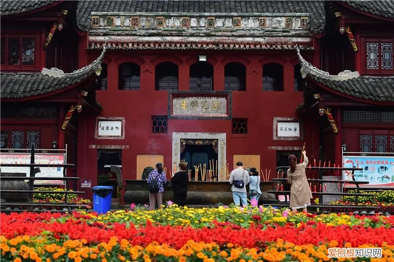 一日游最佳线路 乐山大佛旅游攻略路线