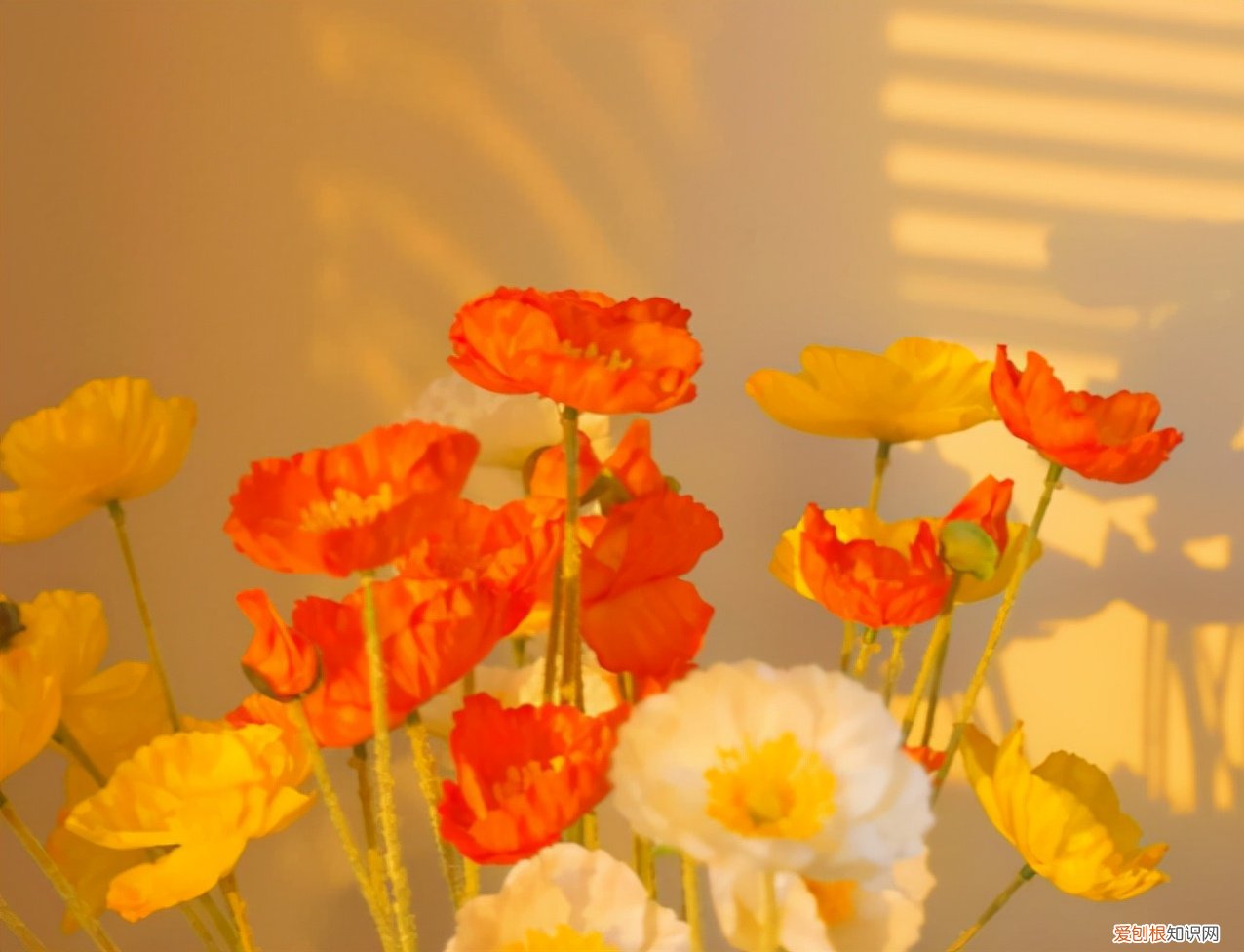 高级又温柔的文案 温柔干净无关爱情的句子