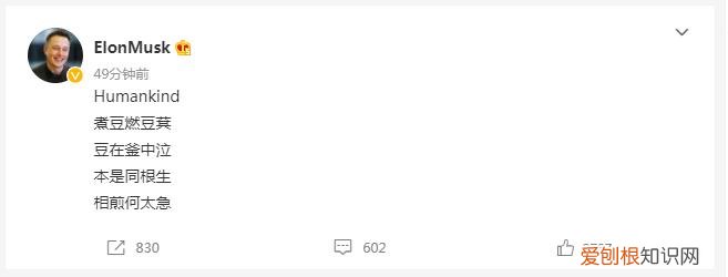马斯克有中国血统吗？直言永远感谢中国