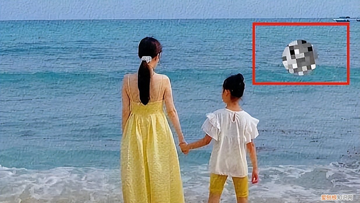 离婚后争议不断 李小璐事件来龙去脉