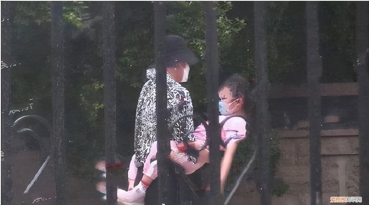 离婚后争议不断 李小璐事件来龙去脉