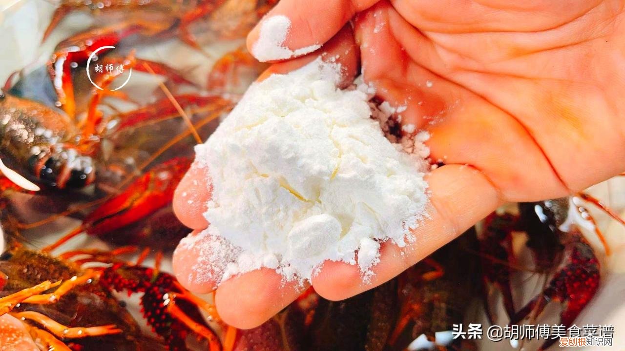 如何清洗龙虾 如何清洗龙虾