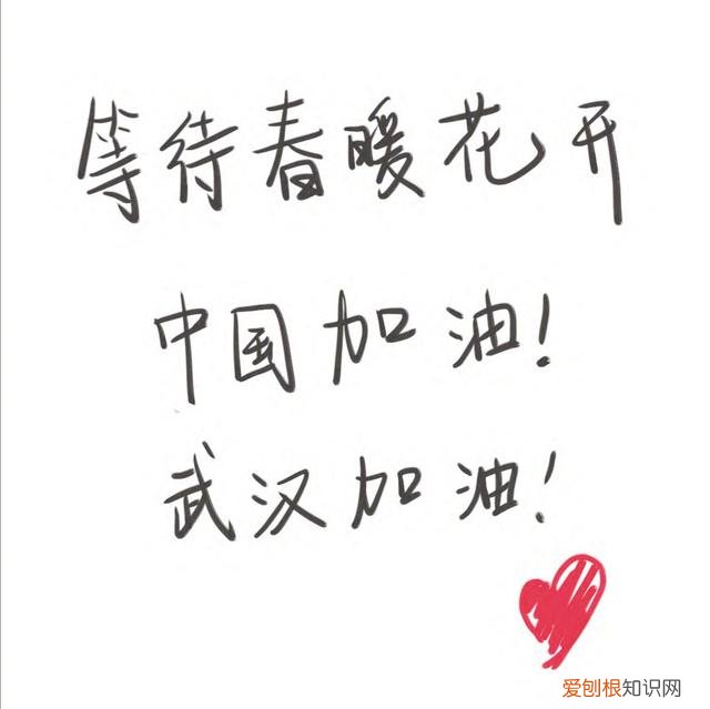 宋威龙个人资料家境以及学历 宋威龙学历太低了吧