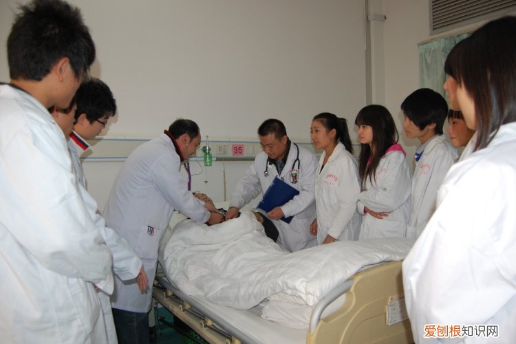 新增37个本科专业 222年大学专业更改变化 教育部撤销518个高校专业