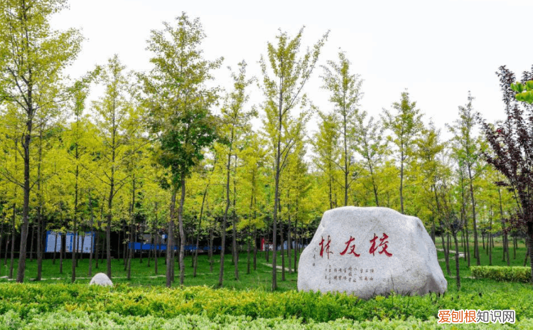 江苏省大学排名一览表