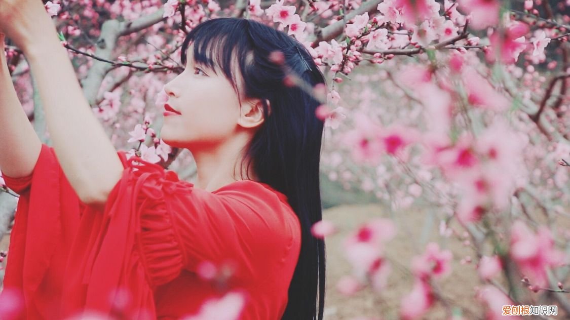 李子柒还能复出吗 李子柒事件是怎么回事