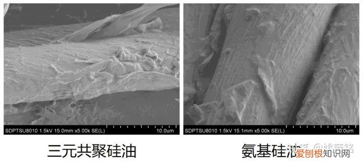 秋成勋滑溜溜事件是什么梗 秋成勋滑溜溜事件怎么回事