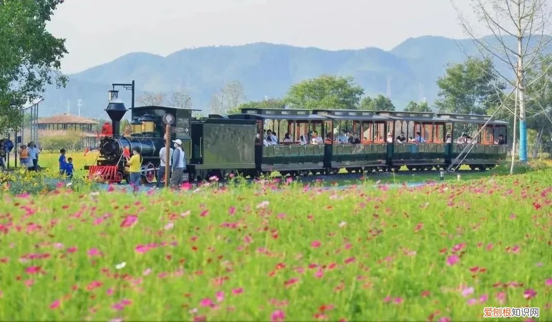 杭州周边自驾游哪些地方推荐 径山花海