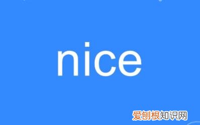 很奈斯是什么意思 网络用语nice是什么中文意思