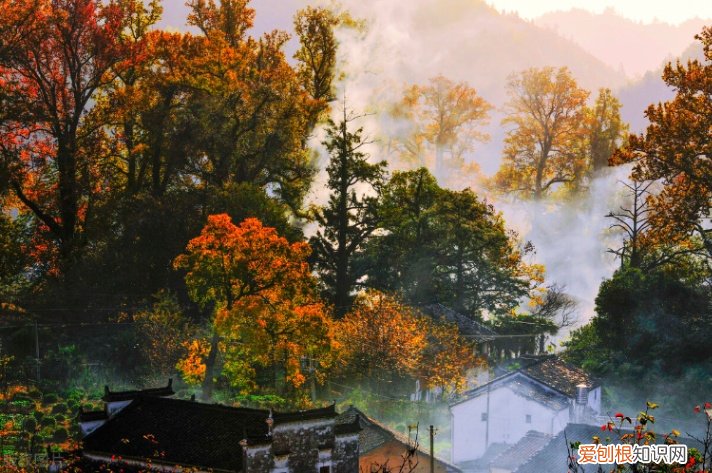 自驾游十一去哪玩比较好 国庆节值得打卡的四个地方