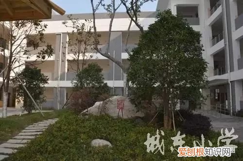 泰州市城南小学上榜第一省一级实验小学 泰州市公立小学排名榜