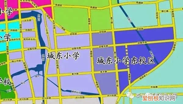 泰州市城南小学上榜第一省一级实验小学 泰州市公立小学排名榜