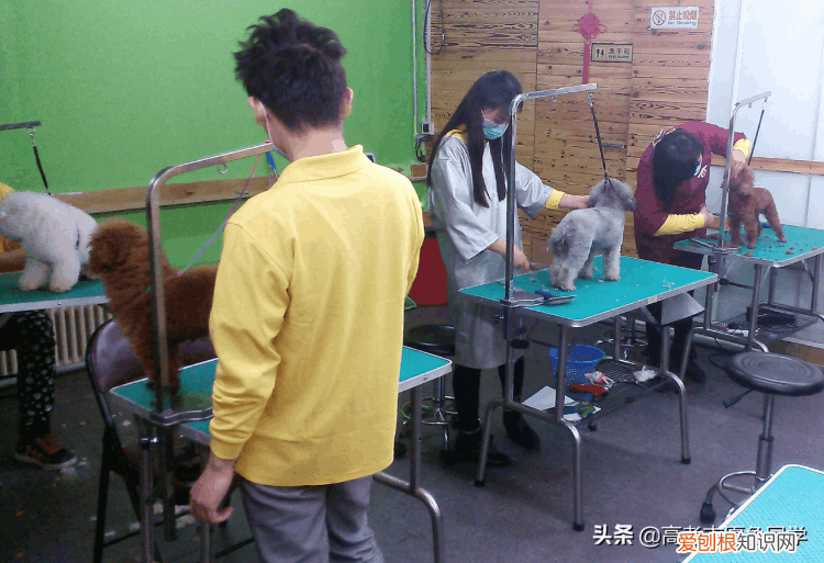 大专介绍，专业介绍大全