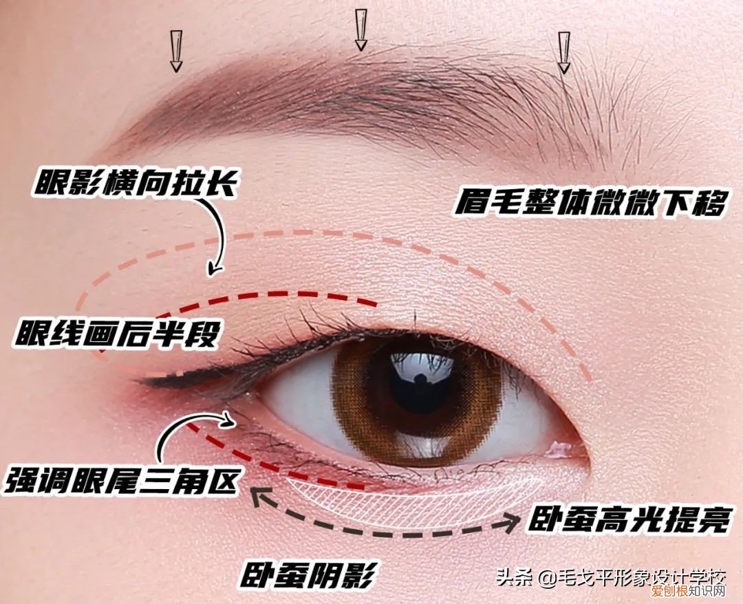 单眼皮怎么画眼线？保姆级眼型调整攻略来咯!