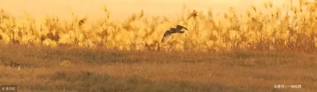 三国时期的渭水在哪里 渭水在哪里