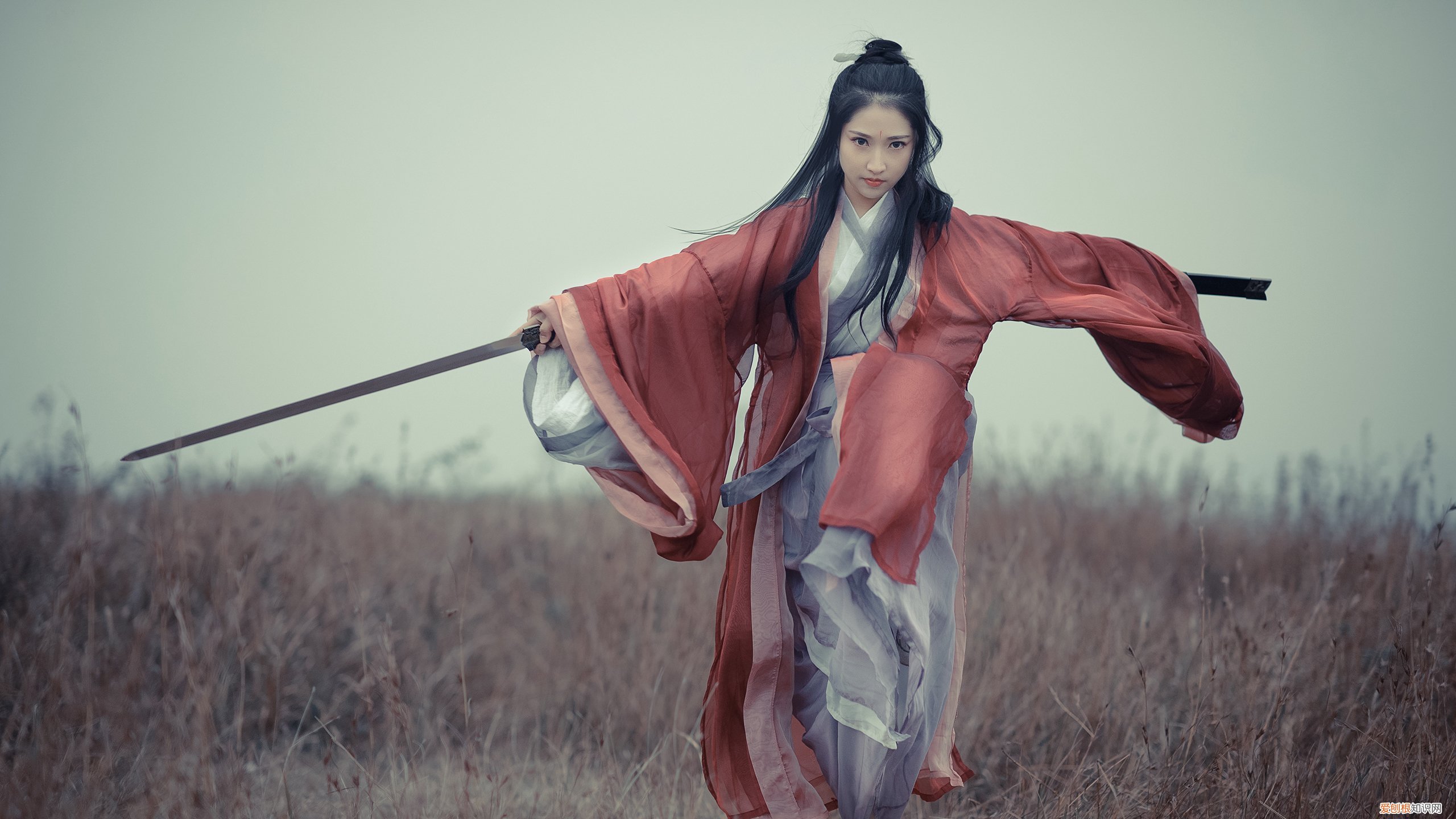 魏秋月为什么叫魏秋 魏秋月为什么落选