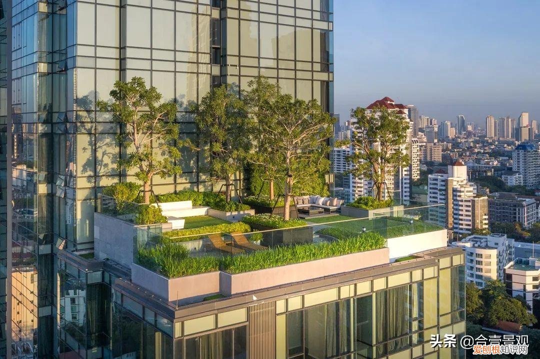 屋顶花园设计效果图屋顶花园图片 屋顶花园设计实景效果图