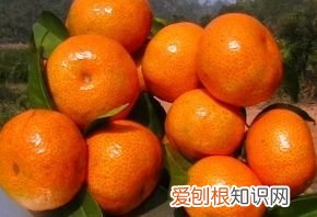 橙子和西瓜一起吃会拉肚子 橙子和西瓜一起吃会不会拉肚子