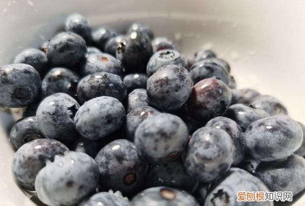 蓝莓移栽如何修剪摘心,蓝莓树如何修剪 蓝莓树怎么修剪