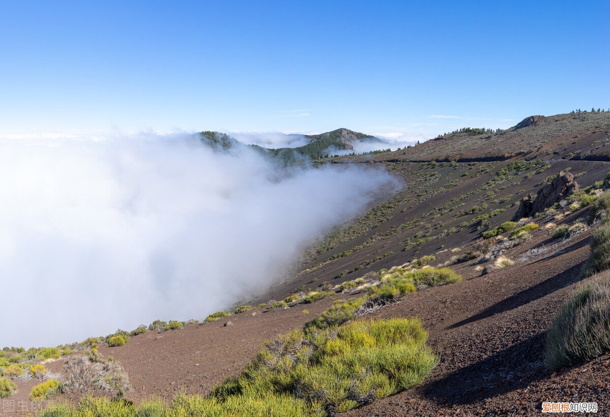 不要低估他们隐藏的能力 摩羯座男孩的性格特征