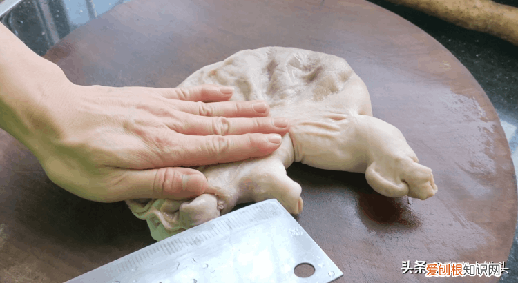 猪肚汤的10种家常做法 猪肚汤怎么炖好喝又营养