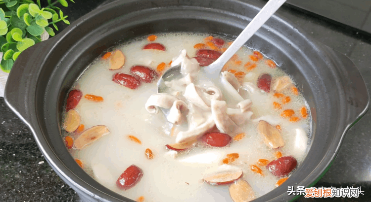 猪肚汤的10种家常做法 猪肚汤怎么炖好喝又营养