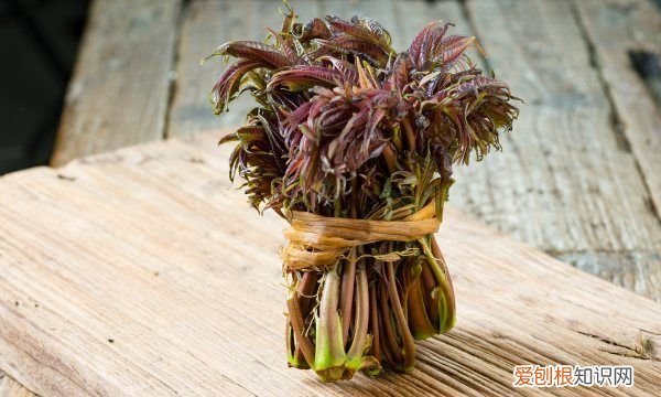 野香椿可以吃